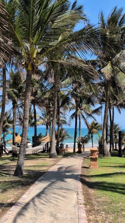 Pandanus Resort — фото погоды в марте (2026-03-30)
