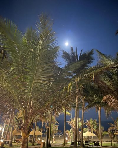 Pandanus Resort — фото погоды в апреле (2026-04-03)