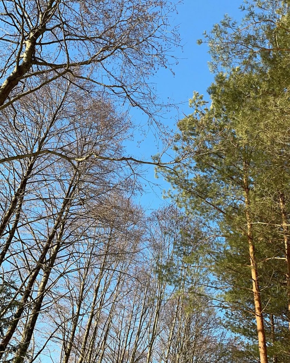 Погода в Селигер