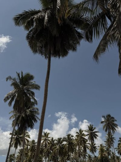 La Digue Island в январе — фото погоды (2026-01-18)
