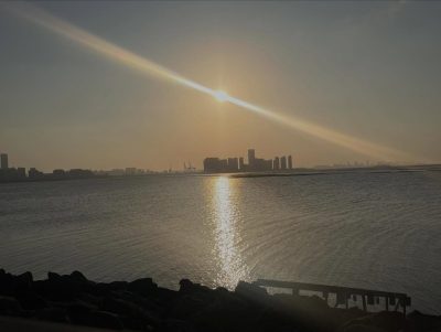 Century Bridge (世纪大桥) в феврале — фото погоды (2026-02-17)