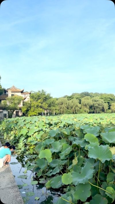Hangzhou West Lake Scenic Area в июле — фото погоды (2026-07-17)