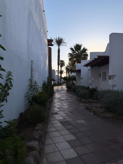 Hilton Sharm El Sheikh Fayrouz Resort — фото погоды в июне (2025-06-16)