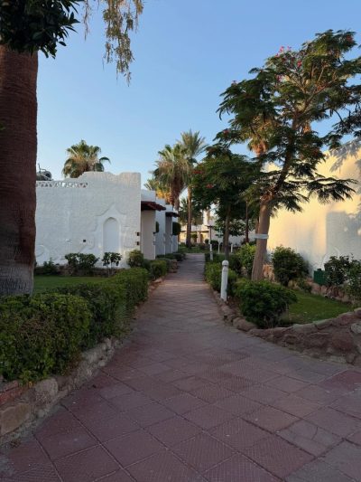 Hilton Sharm El Sheikh Fayrouz Resort — фото погоды в июне (2025-06-16)