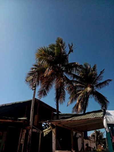 Playa Concorde в мае — фото погоды (2026-05-13)