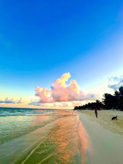 La Zebra Hotel, Tulum — фото погоды в декабре (2025-12-31)