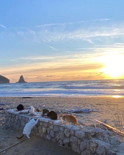 Corfu Agios Gordios Beach в январе — фото погоды (2026-01-12)