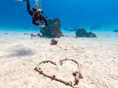 Dolphin House Reef (Sha'ab Samadai) в феврале — фото погоды (2026-02-25)