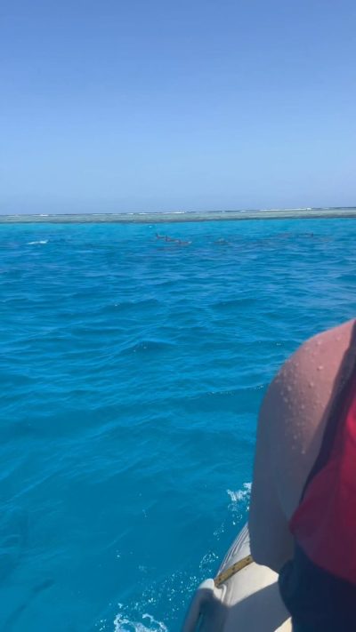 Dolphin House Reef (Sha'ab Samadai) в марте — фото погоды (2026-03-10)