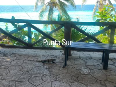 Garrafon Beach, Isla Mujeres, Mexico в сентябре — фото погоды (2025-09-20)