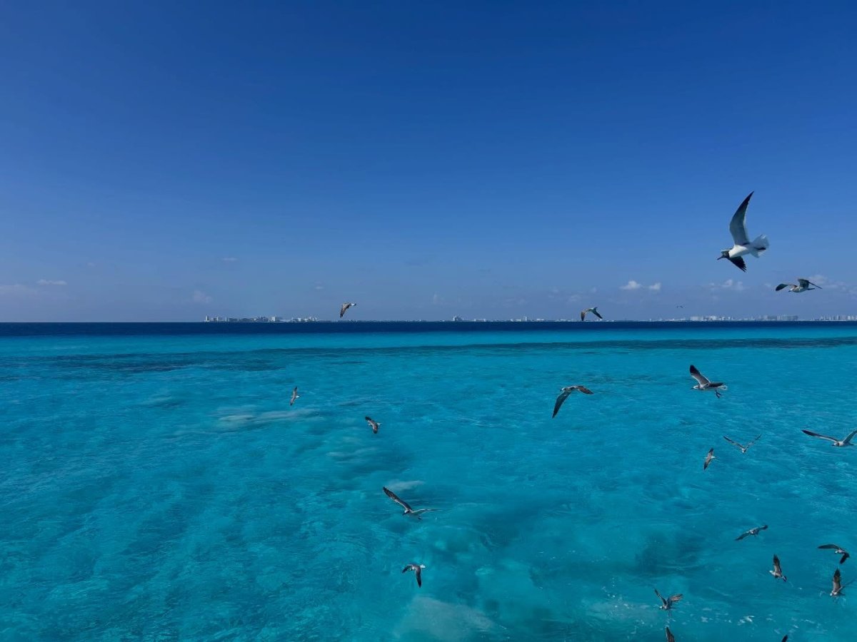 Погода в Garrafon Beach, Isla Mujeres, Mexico