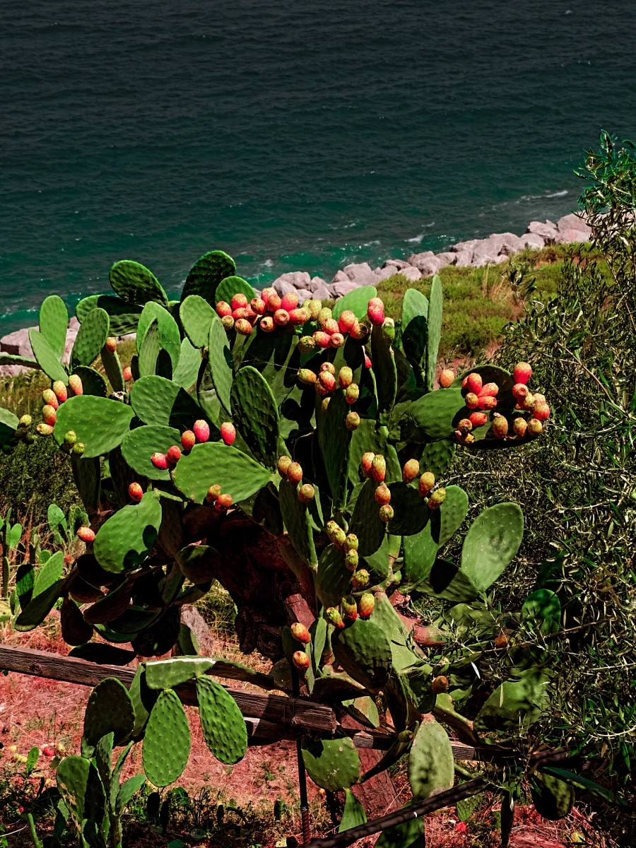 Погода в Toarmina Sicily