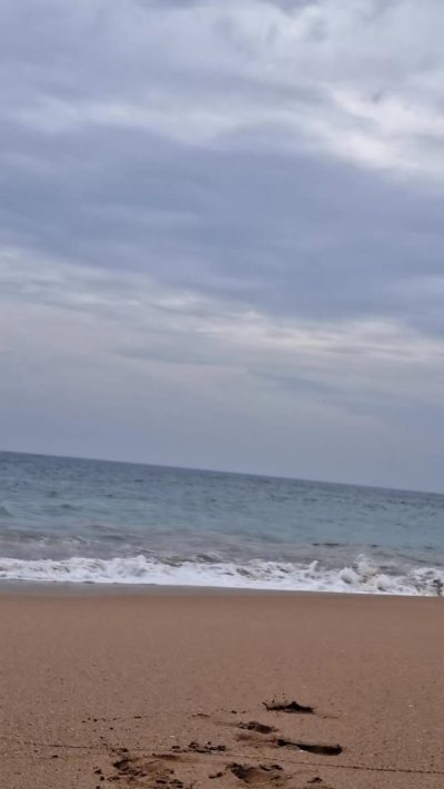 Induruwa Beach в декабре — фото погоды (2025-12-20)