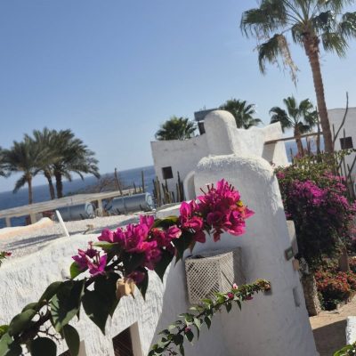Sharm Club Beach Resort — фото погоды в феврале (2026-02-17)