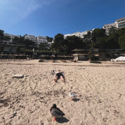 Cala Comtesa, Illetes, Palma De Maiorca в марте — фото погоды (2026-03-12)