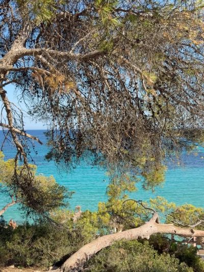 Cala Comtesa, Illetes, Palma De Maiorca в июле — фото погоды (2026-07-12)