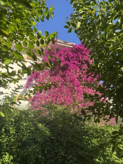 Belconti Resort Hotel — фото погоды в июле (2026-07-01)
