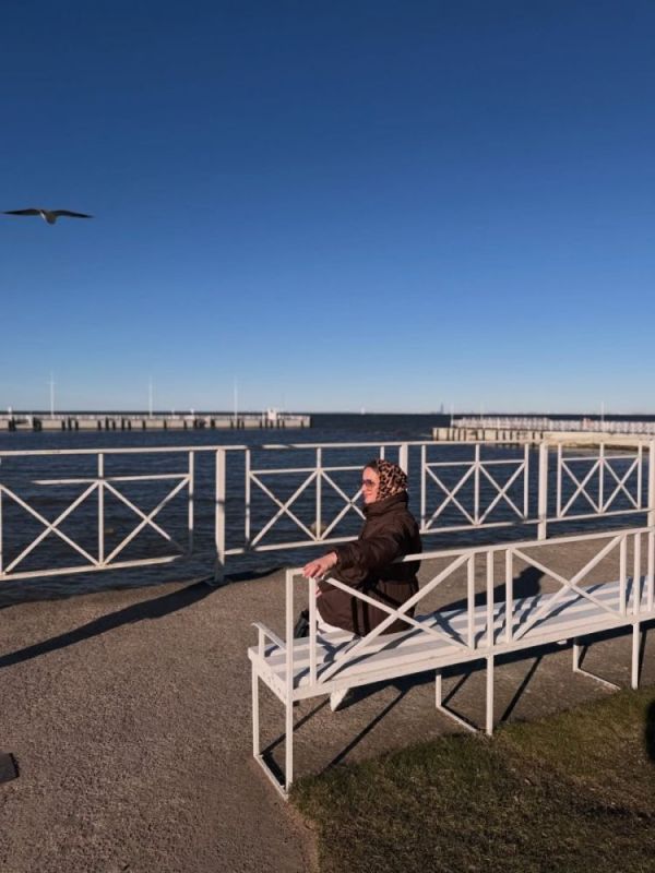 Погода в Петергоф