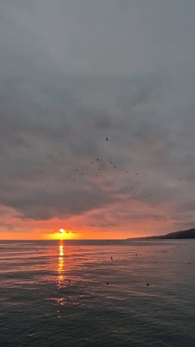 Чёрное Море в июле — фото погоды (2025-07-14)