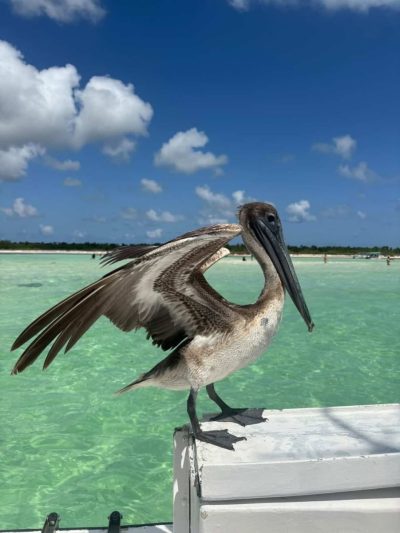 El Cielo, Cozumel, México в мае — фото погоды (2026-05-12)