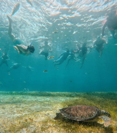 El Cielo, Cozumel, México в июне — фото погоды (2026-06-14)