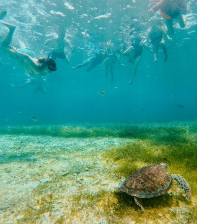 El Cielo, Cozumel, México в июне — фото погоды (2026-06-14)