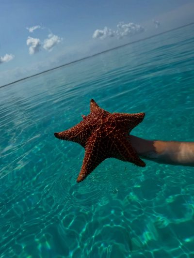 Cayo Santa Maria , Cuba в феврале — фото погоды (2026-02-28)