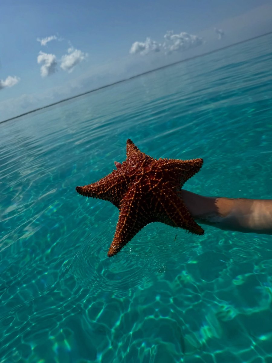 Погода в Cayo Santa Maria , Cuba