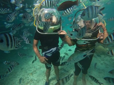Mauritius Island, Indic Ocean в августе — фото погоды (2025-08-27)