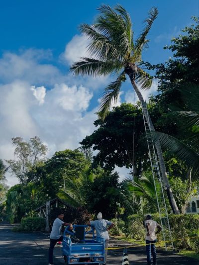 Mauritius Island, Indic Ocean в мае — фото погоды (2026-05-08)