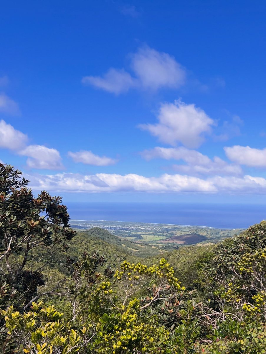 Погода в Mauritius Island, Indic Ocean
