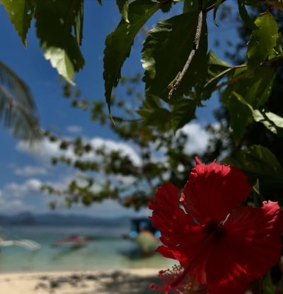 Pinagbuyutan Island, Palawan в марте — фото погоды (2026-03-26)