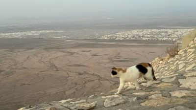 Top of Jebel Hafeet Mountain, Al Ain Dubai... в феврале — фото погоды (2026-02-28)