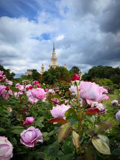 Москва в июле — фото погоды (2026-07-16)