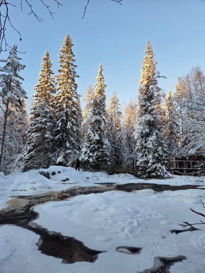Водопады Ахвенкоски в январе — фото погоды (2026-01-18)