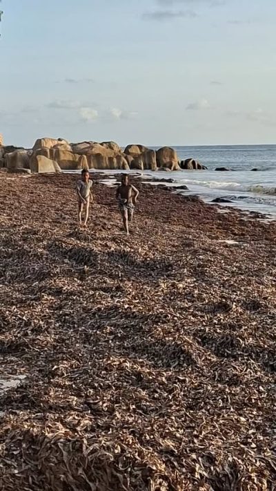 Seycelles Praslin Island в октябре — фото погоды (2025-10-13)