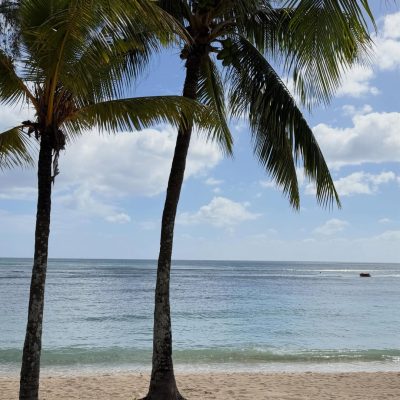 Le Méridien Ile Maurice, Mauritius в мае — фото погоды (2026-05-15)