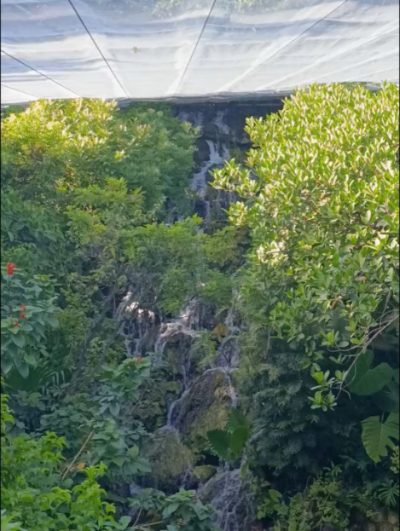 Parque Xcaret Cancún в октябре — фото погоды (2025-10-31)