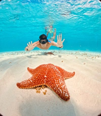 Parque Xcaret Cancún в феврале — фото погоды (2026-02-28)
