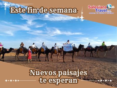 Desierto De Merzouga в ноябре — фото погоды (2025-11-08)