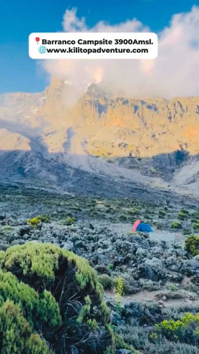 Barranco Camp Kilimanjaro в июне — фото погоды (2026-06-30)