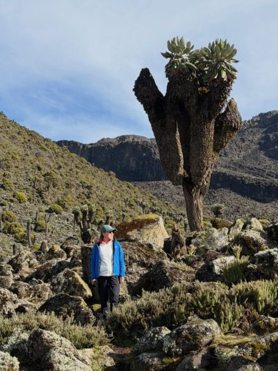 Barranco Camp Kilimanjaro в июле — фото погоды (2026-07-18)