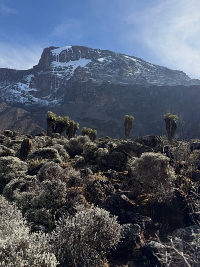 Barranco Camp Kilimanjaro в июле — фото погоды (2026-07-18)