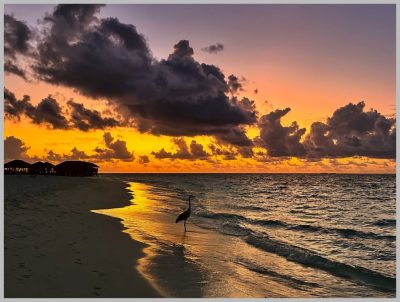 Vilamendhoo, South Ari Atoll, Maldives в ноябре — фото погоды (2025-11-26)