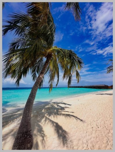 Vilamendhoo, South Ari Atoll, Maldives в июне — фото погоды (2026-06-18)