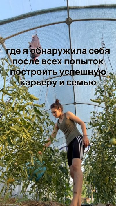 Парк "сады Мечты" в июле — фото погоды (2026-07-07)