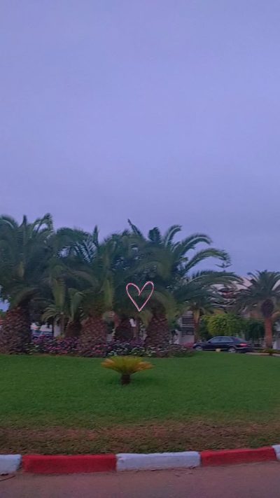 Hotel Palm Azur Djerba — фото погоды в сентябре (2025-09-07)