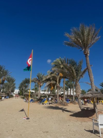 Hotel Palm Azur Djerba — фото погоды в ноябре (2025-11-12)