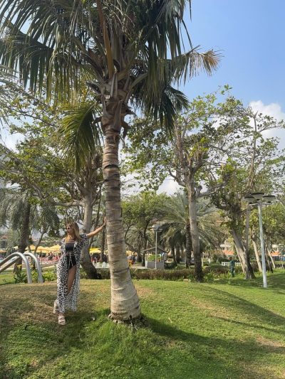 Rotana Resort & Spa - Al Aqah Beach — фото погоды в феврале (2026-02-06)
