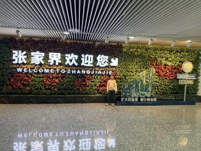 Zhangjiajie Hehua Airport (DYG) 张家界荷花机场 в декабре — фото погоды (2025-12-24)